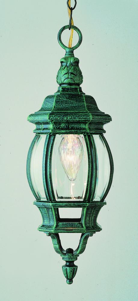1LT SMALL HANGING LANTERN-OUTD